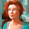 Princess Fiona Shrek Paint By Numbers