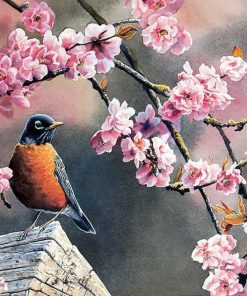 Pink Floral Birds Paint By Numbers