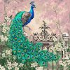 Colorful Peacock in Flowers Paint By Numbers