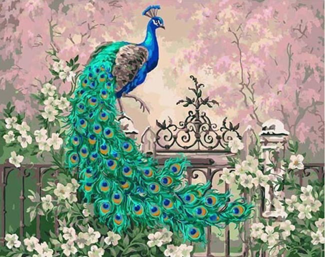 Colorful Peacock in Flowers Paint By Numbers