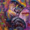 Colorful Monkey Graffiti Paint By Numbers