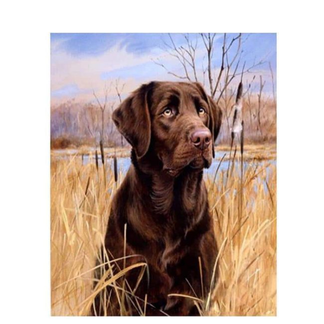 Dog in Grass Pet Paint By Numbers