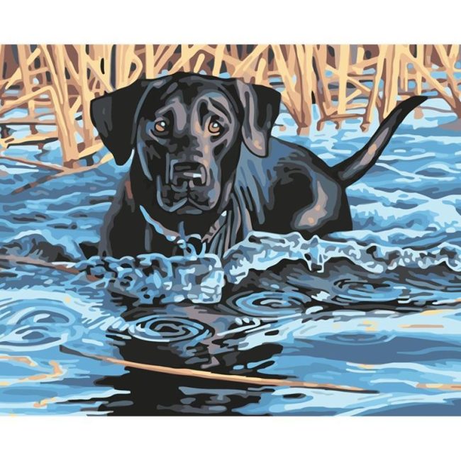 Black Dog Swimming Paint By Numbers