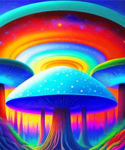 Psychedelic Colorful Mushrooms Paint By Numbers