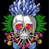 Psychedelic Candy Skull Paint By Numbers