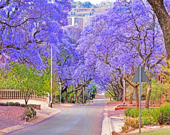 Finalizing the Purple Bloom South Africa Paint By Numbers Artwork