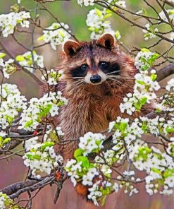 Raccoon Among Blossoms Paint By Numbers