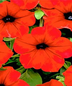 Red Petunia Floral Paint By Numbers