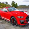 Red Shelby Mustang Car Paint By Numbers