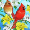 Red Cardinals Bird Paint By Numbers
