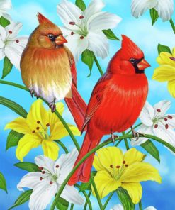 Red Cardinals Bird Paint By Numbers