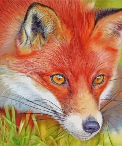 Red Fox Wildlife Paint By Numbers