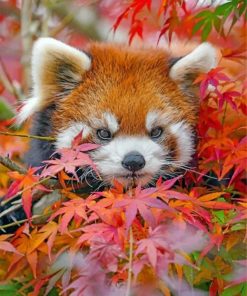 Red Panda Baby Animals Paint By Numbers