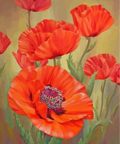 Red Poppies Floral Paint By Numbers