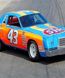 Richard Petty Race Cars Paint By Numbers