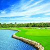 Ritz Carlton Golf Grand Cayman Paint By Numbers