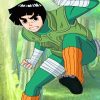 Rock Lee Anime Paint By Numbers