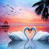 Romantic Swan Pair Paint By Numbers