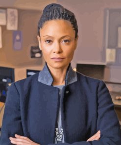 Roseanne Huntley Drama Paint By Numbers