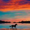 Horse Silhouette Art Paint By Numbers