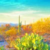 Saguaro Cactus Scenery Tucson Paint By Numbers