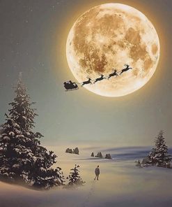 Santa Claus Sleigh Paint By Numbers