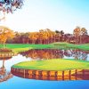 Serene Sawgrass Golf Landscape Paint By Numbers