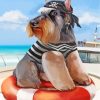 Playful Schnauzer Pirate Paint By Numbers
