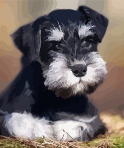 Schnauzer Dog Painting Paint By Numbers
