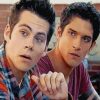 Scott and Stiles Teen Wolf Paint By Numbers