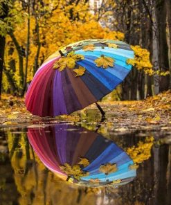 Colorful Forest Umbrellas Paint By Numbers