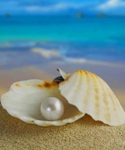 Sea Pearl Beaches Paint By Numbers