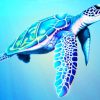 Sea Turtle Animals Paint By Numbers