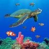 Sea Turtles Ocean Life Paint By Numbers