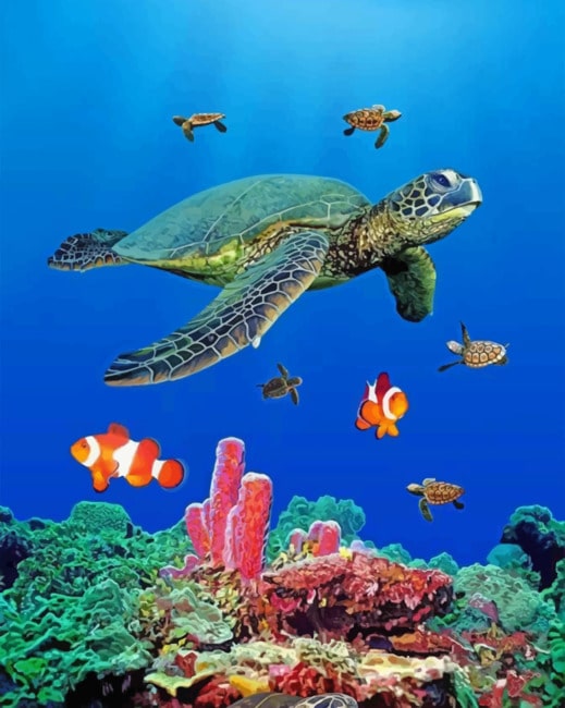 Completed Sea Turtles Ocean Life Artwork