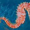 Seahorse Underwater Adventure Paint By Numbers