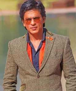 Shahrukh Khan Bollywood Celeb Paint By Numbers