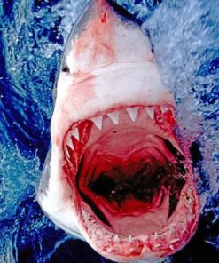 Shark Megalodon Seascapes Paint By Numbers