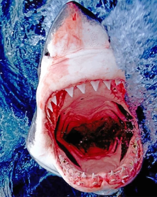 Finalizing Shark Megalodon Seascapes Artwork