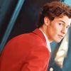 Shawn Mendes Famous Singer Paint By Numbers