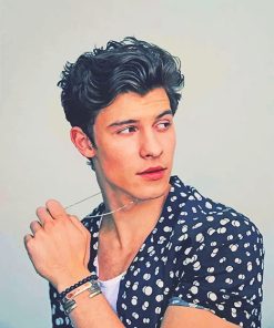 Shawn Mendes Singer Paint By Numbers