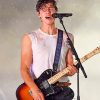 Shawn Mendes Guitar Performance Paint By Numbers