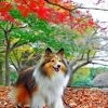 Sheltie Puppies in Fall Paint By Numbers
