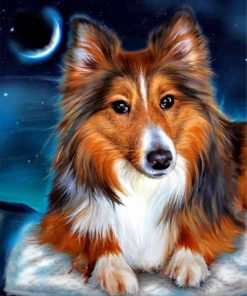 Sheltie Dog Art Paint By Numbers