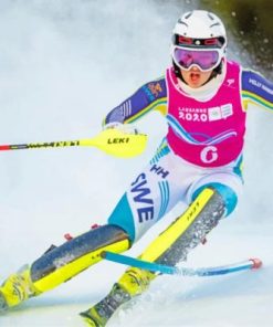 Skiing Olympic Games Winter Sports Paint By Numbers