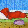 Sleeping Dachshund Dog Paint By Numbers