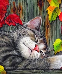 Cozy Sleepy Cat Paint By Numbers