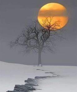 Snow Moon and Trees Paint By Numbers