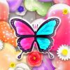 Colorful Butterfly Paint By Numbers
