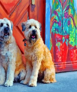 Wheaten Terrier Dog Paint By Numbers